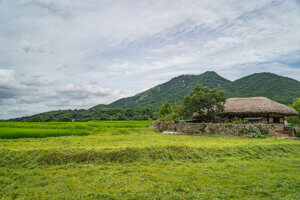 Cheonan Oeam Village.