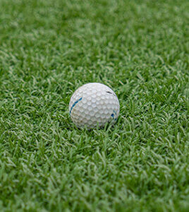 A golf ball on the lawn