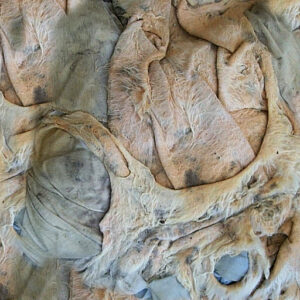 Aug 03 99 11 newsletter